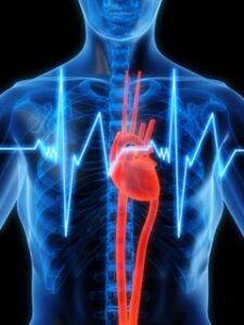 Heart & Energy